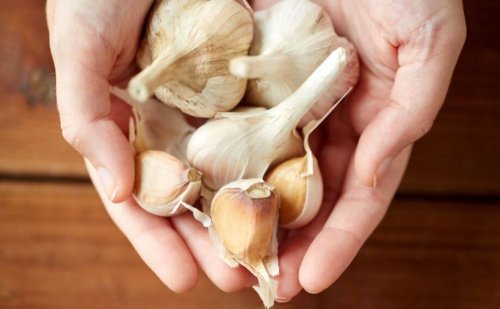 Hvitløk med quercetin