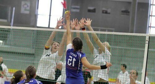 Indiaca - alternative idretter