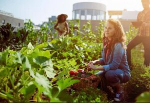 Sesongens mat som er sunn, måned for måned
