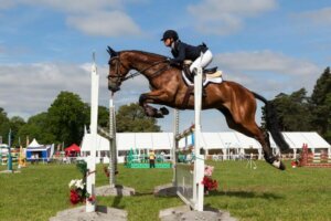 Seks fantastiske grener innen hestesport